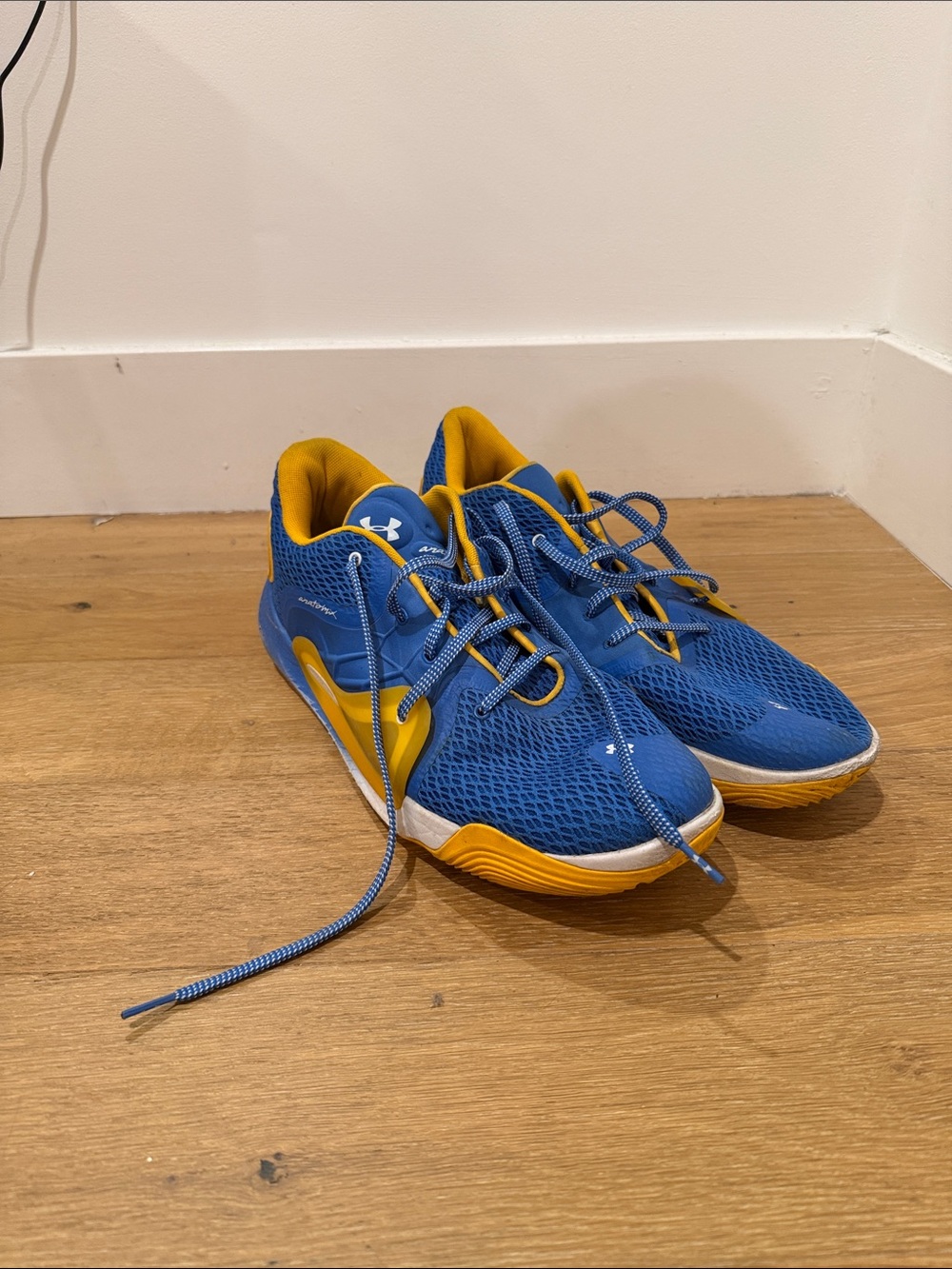 Game Worn UCLA Basketball Under Armour Men’s Shoes